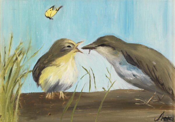 Birds