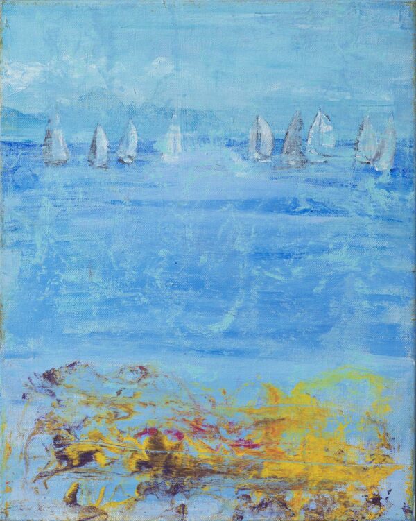 Summerday sailing race